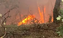 Bursa’dan sonra Karabük’te korkutan yangın