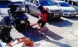 Kediyi tekmeleyen şahıs gözaltına alındı