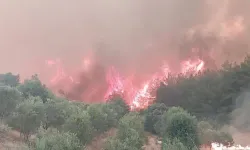 İstanbul’da orman yangını