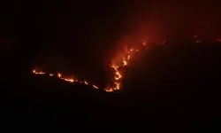Kastamonu'da orman yangını: Tahliye edilen köy sayısı 9 oldu