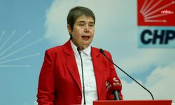 CHP Genel Başkan Yardımcısı Zeliha Aksaz Şahbaz'dan Halk Sağlığı Haftası açıklaması...