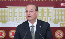 CHP'li Akay'dan köylülerin tarım arazilerinde ve yaşam alanlarındaki yabani hayvanlar için kanun teklifi...