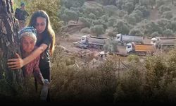 Akbelen'e sabah baskını… Zeytin kıyımı başladı!