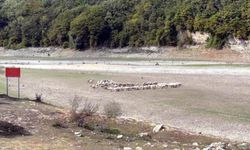 İstanbul'u besleyen barajlar alarm veriyor…