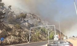 Aydın Söke yanıyor! Havadan ve karadan müdahale ediliyor...