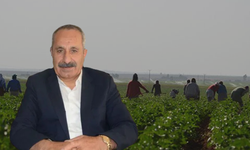 AKP'li başkan hakkında skandal iddia: İŞKUR'a başvuran işsizleri 'köle gibi' kullanmış!