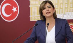 Meral Danış Beştaş'tan cezaevi başvurusu