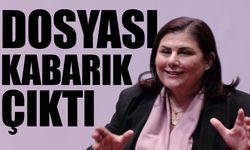 Özlem Çerçioğlu'nun neden AKP'ye topukladığının perde arkası...