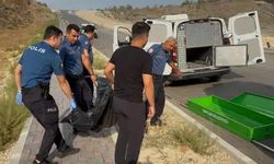 Yol kenarında ceset bulundu
