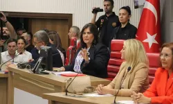 Özlem Çerçioğlu hakkında suç duyurusu! "Meclisi sabote etti”