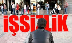 İŞKUR üniversite mezunlarına 'garsonluk' önerdi