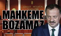 AKP'nin YSK temsilcisi Anayasa'nın 79. maddesini hatırlatmıştı