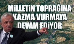 Mehmet Cengiz 250 bin ağaç daha kesecek