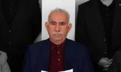 DEM Parti'li Türkdoğan: "Umut hakkı infaz hukukuna girmeli"