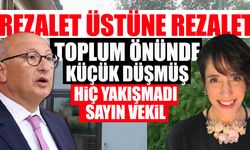 Gazeteci milletvekilinin eşinden basın özgürlüğüne gözdağı