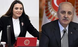 Şimdi de ‘Kürtçe şiir’ krizi: Türkeş’in kızından ‘Derhal istifa etmeli!’ çıkışı