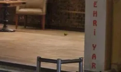 Pastaneye pimi çekilmemiş el bombasını 16 yaşındaki çocuk atmış