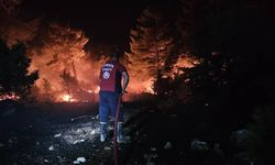 Orman yangını sanıkları için hesap vakti