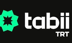 DEM Parti sordu Bakanlık açıkladı: TRT Tabii'nin lisansı yokmuş!