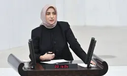 Meclis’te İsrail gerilimi: AKP'li Özlem Zengin sözlerini düzeltti