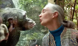 Dünyaca ünlü bilim insanı Jane Goodall hayatını kaybetti