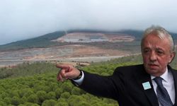 Mehmet Cengiz milletin ormanını oyuyor!