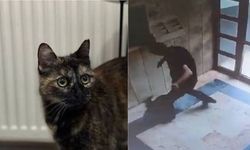 Cezve'yi katleden sanık hakkında flaş karar