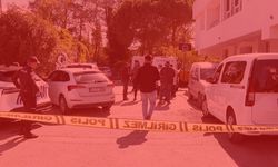 Villada cinayet dehşeti