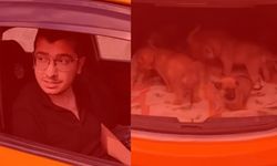 Ankara'da sahiplendiği köpeklere tecavüz eden sapık doktorun cezası belli oldu