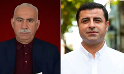AKP'li vekilden 'süreç' çağırısı: Komisyon Öcalan'a gitsin, Demirtaş serbest bırakılsın