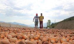 Çikolata devi ile anlaşılamadı… Türkiye'den almayacak!