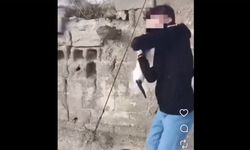 Kediye işkence eden caninin görüntüleri sosyal medyada infial yarattı!