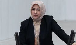 AKP Grup Başkanvekili Özlem Zengin, çareyi film yasaklamakta buldu…