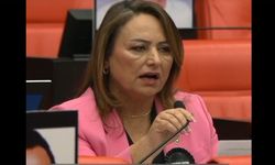 CHP Milletvekili Müzeyyen Şevkin: Emekli, dul ve yetimler ile engelliler açlığın pençesinde
