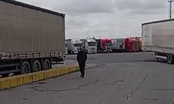 Kokarca böceği skandalında son perde: 95 TIR rehin tutuluyor