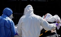 Havanlardan insanlara bulaşmadığı sanılıyordu... İlk kez bir insanda H5N5 tespit edildi!