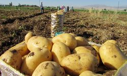 Ticaret Bakanlığından 'patates' açıklaması... 25 TL mi oluyor?