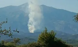 Muğla'da orman yangını çıktı!