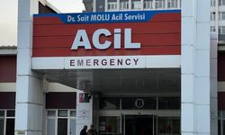 Sucuk festivalinde 80 kişi hastanelik oldu