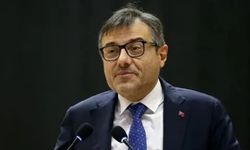 Cumhurbaşkanı Başdanışmanı 'affını' istedi