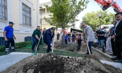Cemil Tugay'ın diktiği ağacı valilik söktü!