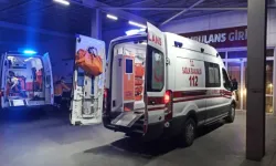 Yine ilaçlama faciası: Biri bebek 7 kişi zehirlendi!