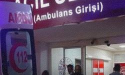 Almanya'dan tatile gelen bir Türk kaldığı otelde öldü