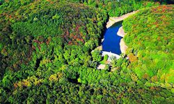 O yasa, Belgrad Ormanı’nı da yok edecek!