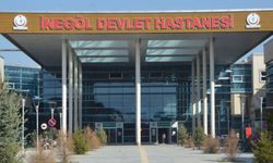 Bursa'da 7 kişi 'mantardan' zehirlendi!