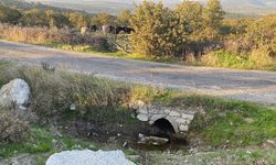 Boş arazide bebek cesedi bulundu! Bir şüpheli gözaltında