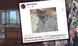 Kedi satıp tüfek aldı 2 kişiyi öldürdü!