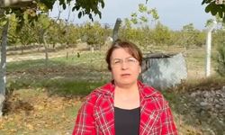 CHP Milletvekili Gülizar Biçer Karaca: Cevizin hasat dönemlerinde ithalat yasaklanmalı
