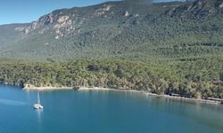 Akyaka orman kampını yapılaştırmaya açacak ihale!