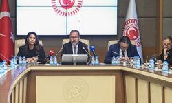 Meclis'te büyük ayıp! Aziz Nesin'lik olay...